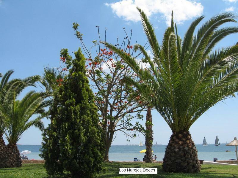 Beautiful 1 Bedroom Apartment In Roda, Los Alcazares. Larger Than Average. 외부 사진